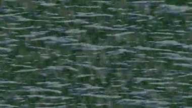 Soyut hareket desenli fütüristik video üretimi için dinamik dijital arkaplan