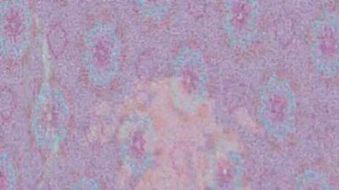 Yaratıcı video düzenleme film tasarımı için benzersiz hareket grafikleri biçimi giriş hareketi video pro