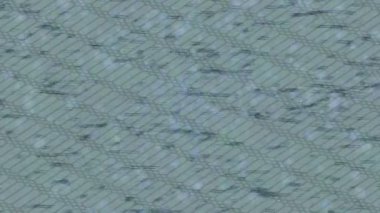 Benzersiz dijital animasyon tarzı grafikleri olan yaratıcı ortam tasarımı için yenilikçi hareket dokusu