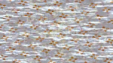 Estetik doku arkaplan tasarımı renkli hareket grafikleri ile moda film giriş profosyoneli