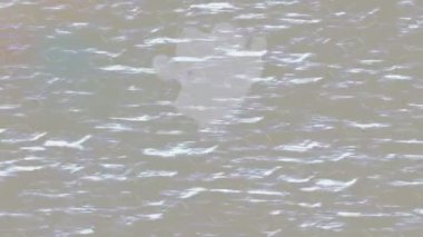 Estetik doku arkaplan tasarımı renkli hareket grafikleri ile moda film giriş profosyoneli