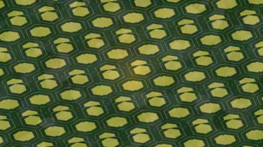 Benzersiz dijital animasyon tarzı grafikleri olan yaratıcı ortam tasarımı için yenilikçi hareket dokusu