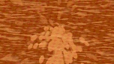 Benzersiz dijital hareket grafiklerine sahip yaratıcı sinematik projeler için yumuşak animasyon yüzeyi