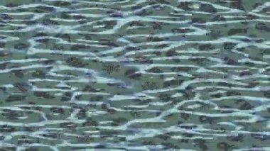 Lüks hareket projeleri için soyut tasarım stili animasyonu olan üst düzey dijital doku