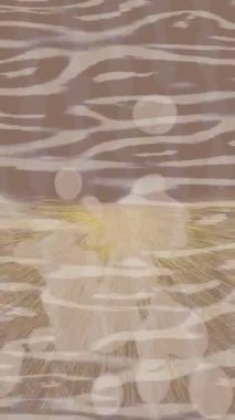 Yaratıcı video düzenleme film tasarımı için benzersiz hareket grafikleri biçimi giriş hareketi video pro