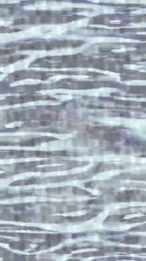 Dijital doku yüzey tasarım biçimi ile modern video animasyonu için gelişmiş hareket grafikleri