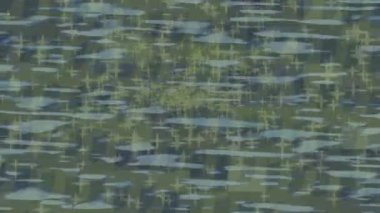 Lüks hareket tasarımı üst düzey video projeleri ve dijital sanat için zarif, pürüzsüz bir dokusu var.