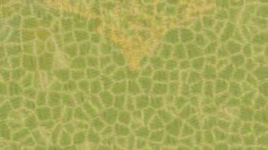 Estetik doku arkaplan tasarımı renkli hareket grafikleri ile moda film giriş profosyoneli