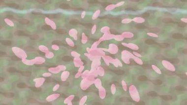 Profesyonel video projeleri sanat tarzı için organik hareketli arkaplan tasarımı