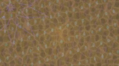 Yaratıcı video düzenleme film arkaplan tasarımı için minimalist organik hareket grafikleri