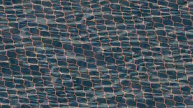 Benzersiz dijital animasyon tarzı grafikleri olan yaratıcı ortam tasarımı için yenilikçi hareket dokusu