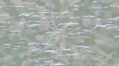 Benzersiz dijital animasyon tarzı grafikleri olan yaratıcı ortam tasarımı için yenilikçi hareket dokusu