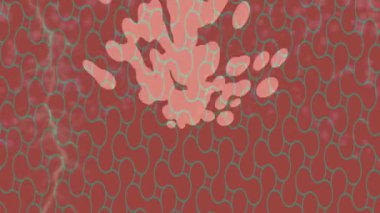 Benzersiz dijital hareket grafiklerine sahip yaratıcı sinematik projeler için yumuşak animasyon yüzeyi