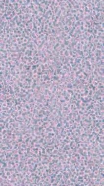 Modern medya üretimi için fütüristik dijital soyut doku sinematik tarz hareketli grafik ögesi