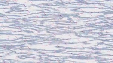 Organik desenli yüzey giriş stili video film sanatı ile soyut arkaplan tasarımı