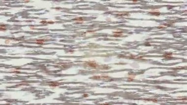 Benzersiz video giriş tasarımı projeleri için detaylı yüzey kalıbı film animasyon stili grafik girişi