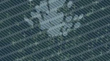 Benzersiz video giriş tasarımı projeleri için detaylı yüzey kalıbı film animasyon stili grafik girişi