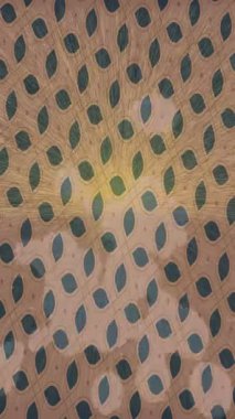 Yaratıcı video düzenleme film arkaplan tasarımı için minimalist organik hareket grafikleri