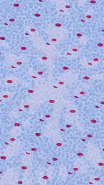 Yaratıcı video düzenleme film arkaplan tasarımı için minimalist organik hareket grafikleri