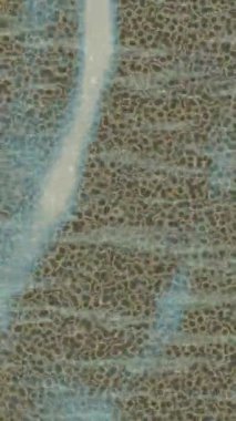 Benzersiz dijital animasyon tarzı grafikleri olan yaratıcı ortam tasarımı için yenilikçi hareket dokusu