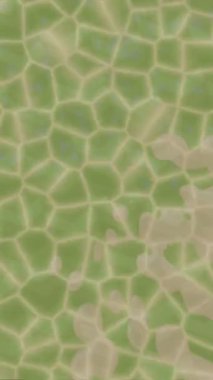 Lüks hareket projeleri için soyut tasarım stili animasyonu olan üst düzey dijital doku