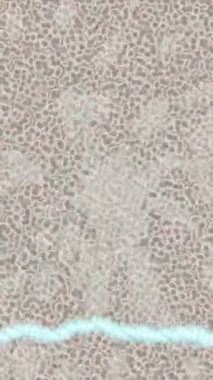 Benzersiz dijital hareket grafiklerine sahip yaratıcı sinematik projeler için yumuşak animasyon yüzeyi