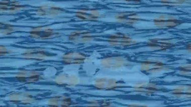 Lüks hareket tasarımı üst düzey video projeleri ve dijital sanat için zarif, pürüzsüz bir dokusu var.