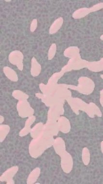 Benzersiz dijital hareket grafiklerine sahip yaratıcı sinematik projeler için yumuşak animasyon yüzeyi