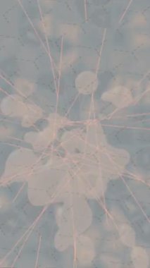 Soyut hareket desenli fütüristik video üretimi için dinamik dijital arkaplan