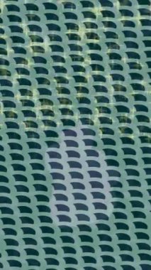 Profesyonel video projeleri sanat tarzı için organik hareketli arkaplan tasarımı