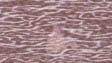 Profesyonel video projeleri sanat tarzı için organik hareketli arkaplan tasarımı