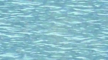 Benzersiz dijital hareket grafiklerine sahip yaratıcı sinematik projeler için yumuşak animasyon yüzeyi