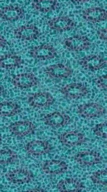 Yaratıcı video düzenleme film tasarımı için benzersiz hareket grafikleri biçimi giriş hareketi video pro