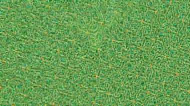 Organik desenli yüzey giriş stili video film sanatı ile soyut arkaplan tasarımı