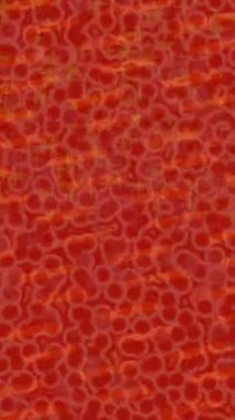 Estetik doku arkaplan tasarımı renkli hareket grafikleri ile moda film giriş profosyoneli