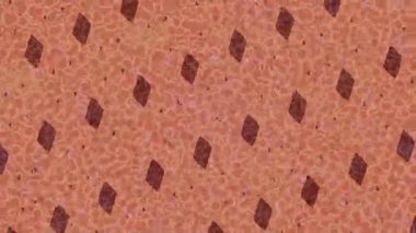 Yaratıcı video düzenleme film tasarımı için benzersiz hareket grafikleri biçimi giriş hareketi video pro