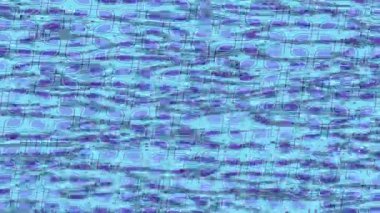 Yaratıcı video düzenleme film arkaplan tasarımı için minimalist organik hareket grafikleri