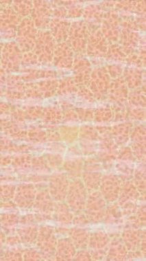 Profesyonel video projeleri sanat tarzı için organik hareketli arkaplan tasarımı