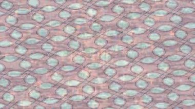 Profesyonel video projeleri sanat tarzı için organik hareketli arkaplan tasarımı