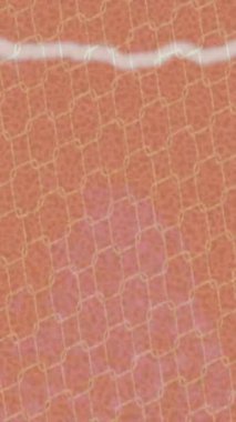 Yaratıcı video düzenleme film arkaplan tasarımı için minimalist organik hareket grafikleri