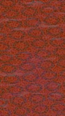 Soyut hareket desenli fütüristik video üretimi için dinamik dijital arkaplan