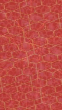 Lüks hareket tasarımı üst düzey video projeleri ve dijital sanat için zarif, pürüzsüz bir dokusu var.