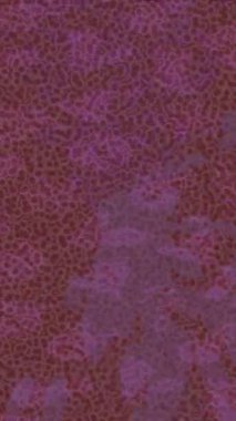 Benzersiz hareket grafikleri tasarım sanatına sahip yaratıcı film üretimi için özet bir arkaplan