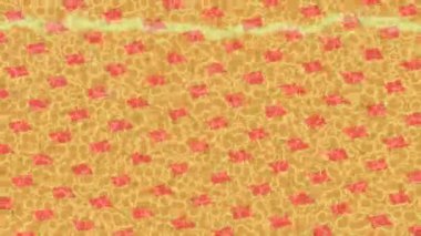 Benzersiz dijital hareket grafiklerine sahip yaratıcı sinematik projeler için yumuşak animasyon yüzeyi