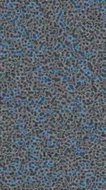 Lüks hareket tasarımı üst düzey video projeleri ve dijital sanat için zarif, pürüzsüz bir dokusu var.