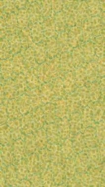 Yaratıcı video düzenleme film arkaplan tasarımı için minimalist organik hareket grafikleri