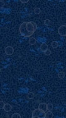 Benzersiz dijital animasyon tarzı grafikleri olan yaratıcı ortam tasarımı için yenilikçi hareket dokusu