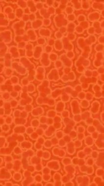 Profesyonel video projeleri sanat tarzı için organik hareketli arkaplan tasarımı