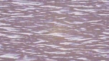 Benzersiz dijital hareket grafiklerine sahip yaratıcı sinematik projeler için yumuşak animasyon yüzeyi