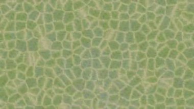 Lüks hareket projeleri için soyut tasarım stili animasyonu olan üst düzey dijital doku